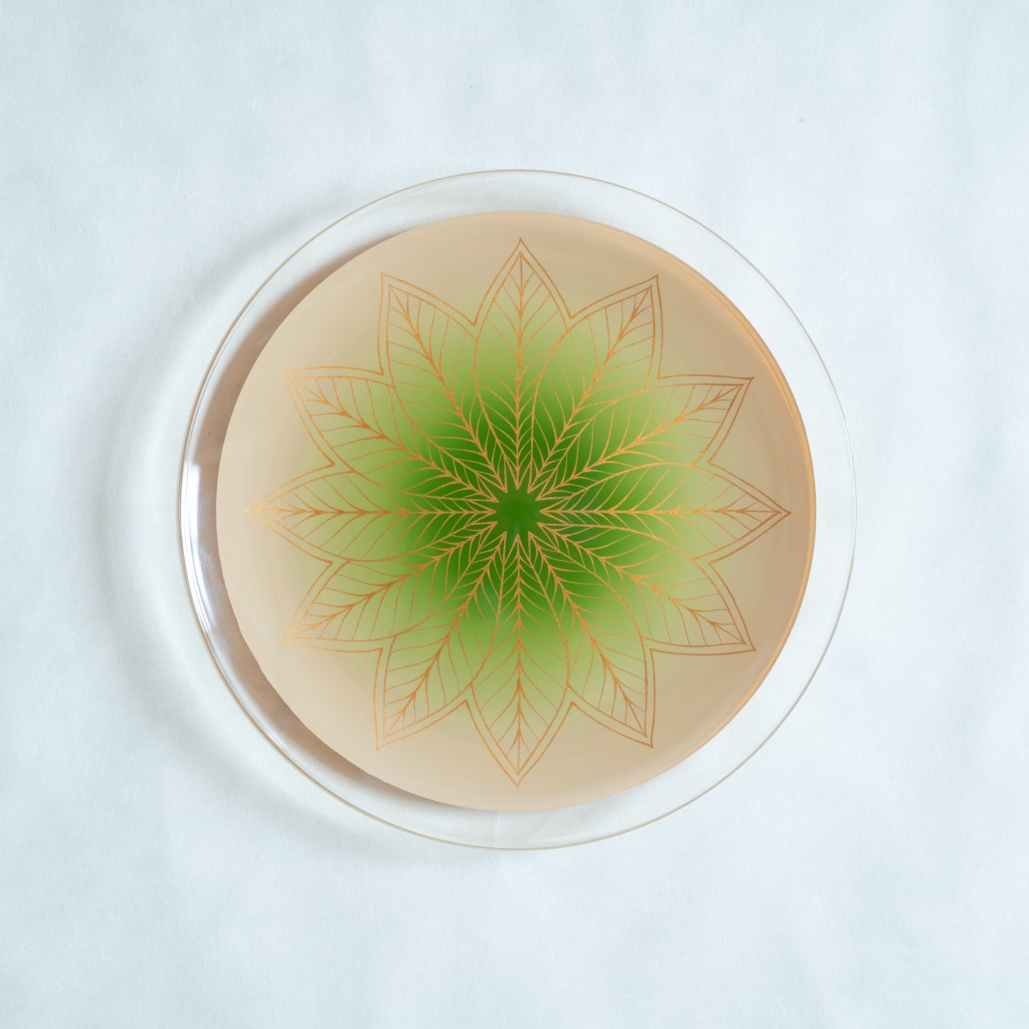 hawa Plate L White and Green