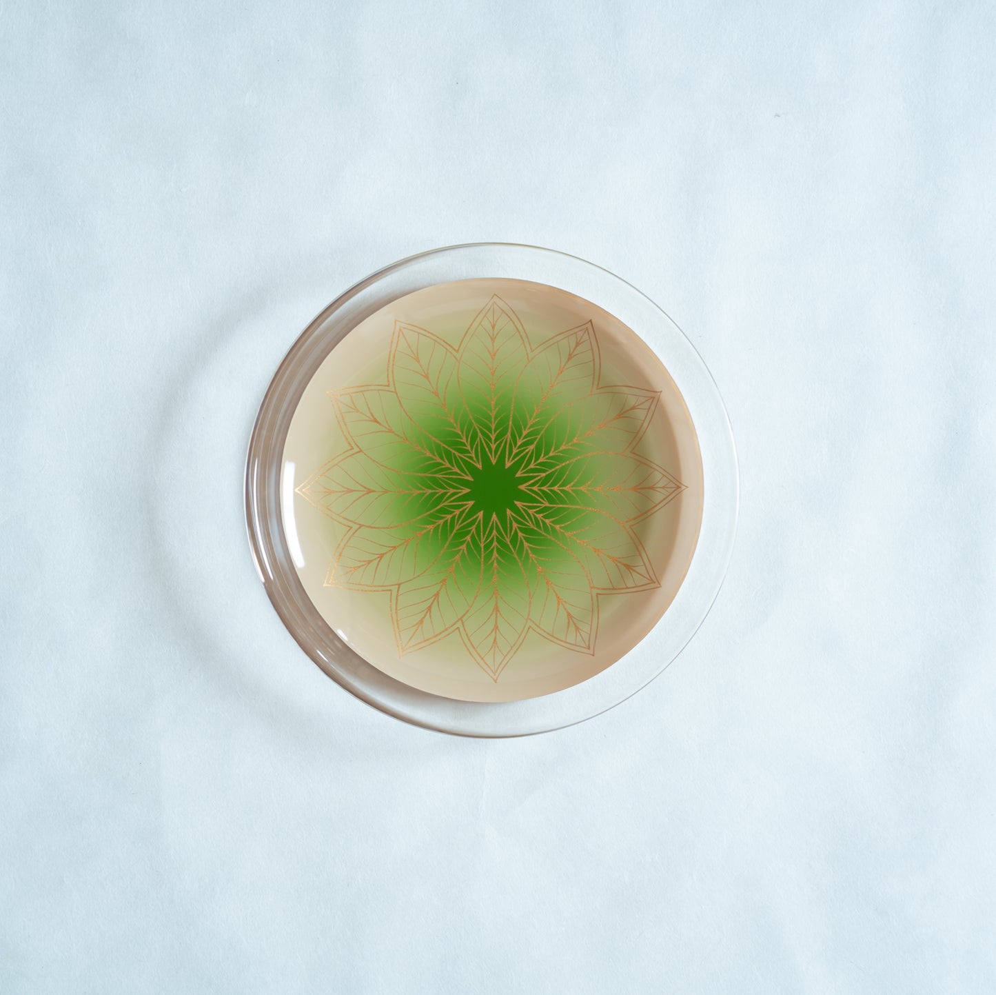hawa Plate M White and Green