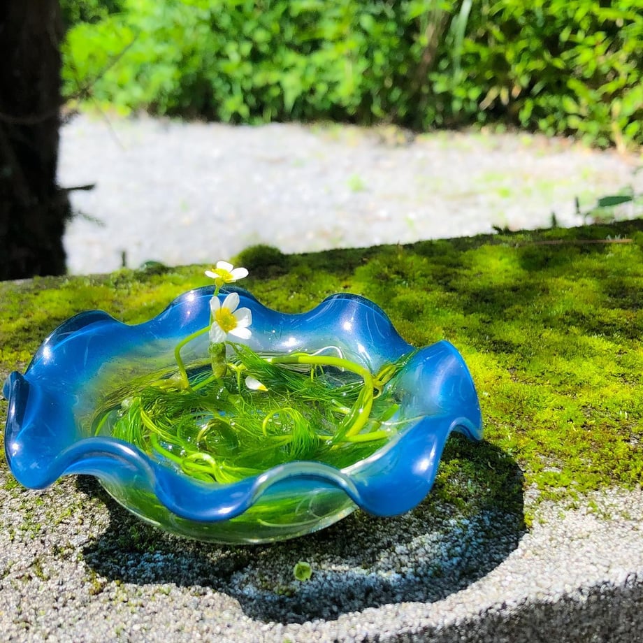 Golden Fish Small Bowl